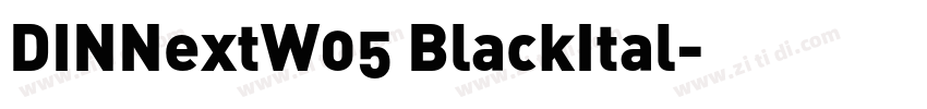 DINNextW05 BlackItal字体转换